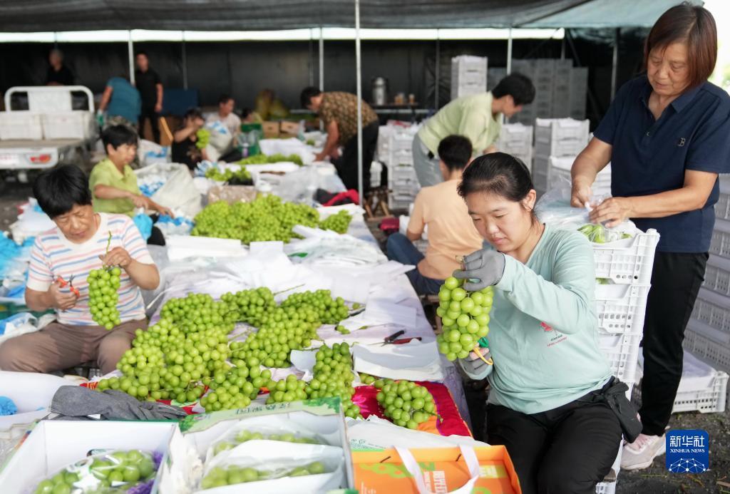 2018白菜彩金大全